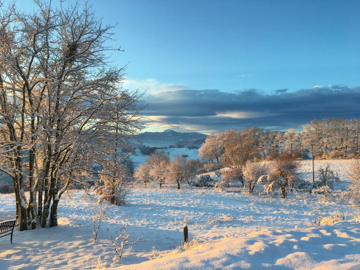 Agriturismo Il Filare Neviano degli Arduini Luaran gambar